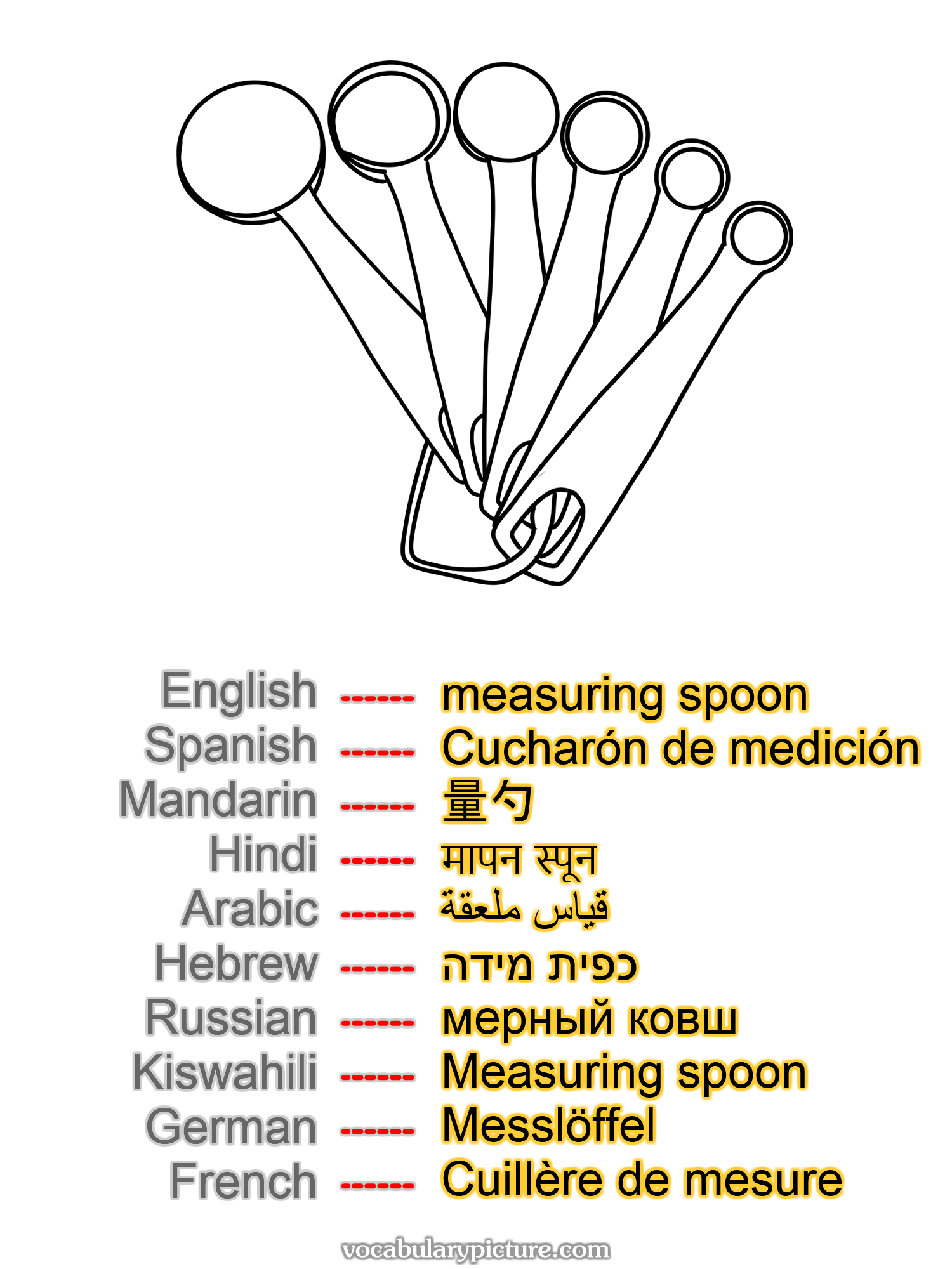 measuring spoon Cucharón de medición 量勺 मापन स्पून قياس ملعقة כפית מידה мерный ковш Measuring spoon Messlöffel Cuillère de mesure —vocabulary with picture on vocabularypicture.com